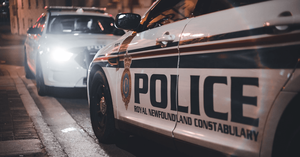 Ordinul de protecție provizoriu: cum se obține pe loc