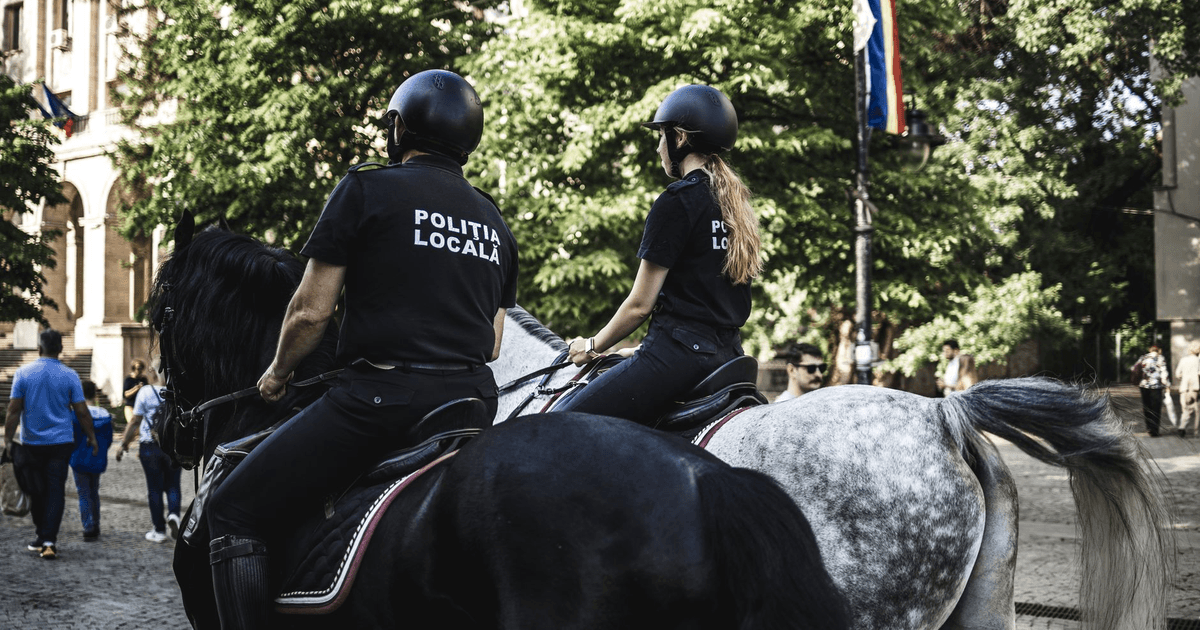 Cele mai mici fapte pentru care poți răspunde legal în România